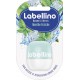 Labello Labellino Baume à Lèvres Menthe Fraîche 7g (lot de 3)