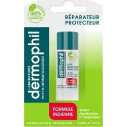 Dermophil Stick Lèvres Réparateur Protecteur Formule Indienne 4g (lot de 2) stick 4g