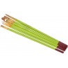 Lot De 8 Pinceaux apprentissage Acrylique 30cm Vert