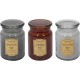 HOME DECO FACTORY Lot De 3 Bougies Parfumées apoth 14cm Multicolore
