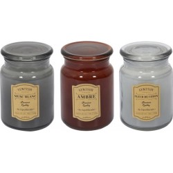 HOME DECO FACTORY Lot De 3 Bougies Parfumées apoth 14cm Multicolore