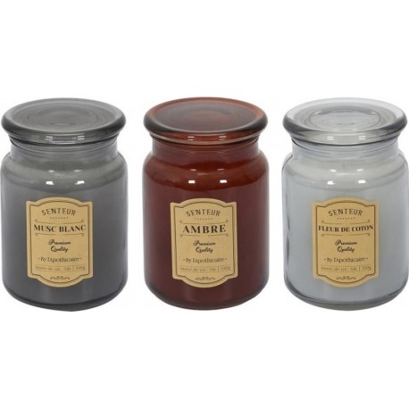 HOME DECO FACTORY Lot De 3 Bougies Parfumées apoth 14cm Multicolore