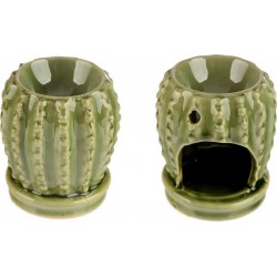 1001KDO Brule Parfum Cactus Vert