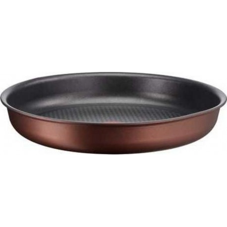 TEFAL INGENIO RESOURCE POELE24