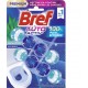 BREF Blocs WC Eucalyptus Eau Bleu Auto Activ' Premium