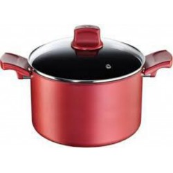 TEFAL CHARACTER Faitout + Couvercle C6824602 3168430270527