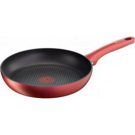 TEFAL POELE CHARACTER IND 24 3168430235786