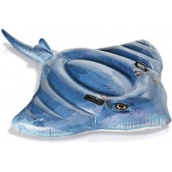 INTEX Stingray for Water