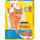 Friskies Croquettes Chats Adultes Saumon Légumes 400g (lot de 10)