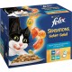 FELIX SENSATION POISSON12X100G 7613032608293