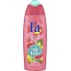 Fa Gel Douche Fiji Dream 250ml (lot de 4)