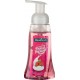 Palmolive Magique Pouss’Mousse Parfum Framboise 250ml (lot de 10)