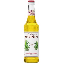 Sirop Monin Sirop d’Agave
