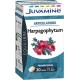 Juvamine Équilibre Articulations Harpagophytum