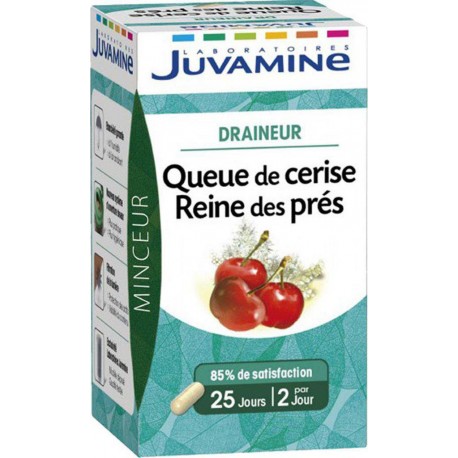 Juvamine Minceur Draineur Queue de Cerise Reine des Prés