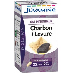 Juvamine Digestion Gaz Intestinaux Charbon + Levure