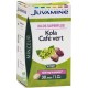 Juvamine Minceur Kilos Superflus Kola Café Vert Vegan