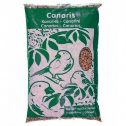 Riga Graines Pour Oiseaux Canaris Grand Format 1Kg (lot de 4)